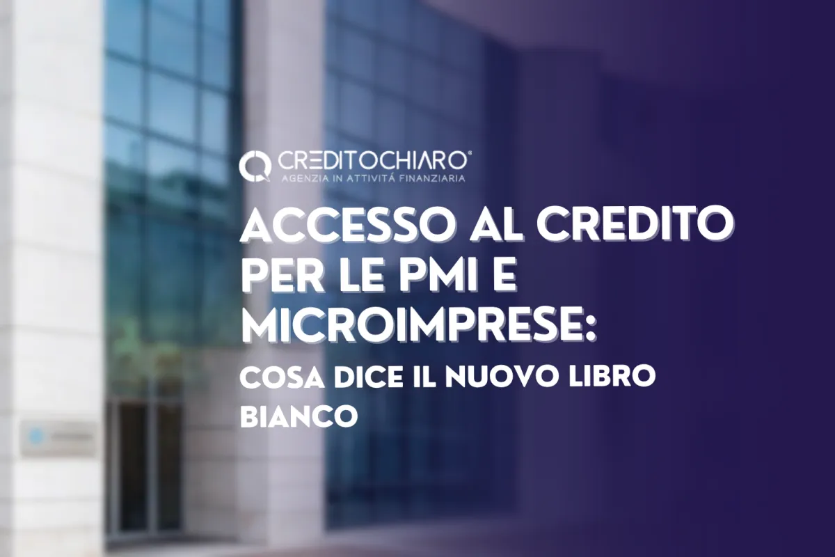 Accesso al Credito PMI: Analisi del nuovo Libro Bianco